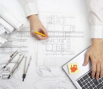 estudo-da-guia-amarela